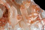Natural, Red Quartz Crystal Cluster - Morocco #80652-1